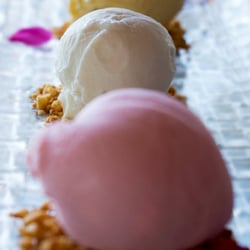 Kiwi Kiss Restaurant - Kiwi KIss Sorbets & Gelatos