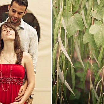 Ali Harper Photography - Photographers Near Me Ali Harper Photography - Photographers Near Me