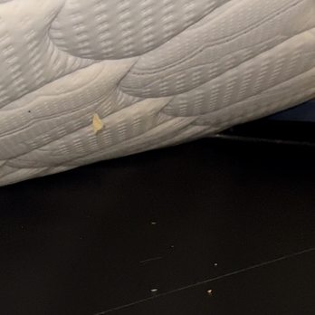 Tru by Hilton Lehi - a chip hanging underneath the other mattress.. - Hotels Near Me - Lehi, Utah Tru by Hilton Lehi - a chip hanging underneath the other mattress.. - Hotels Near Me - Lehi, Utah