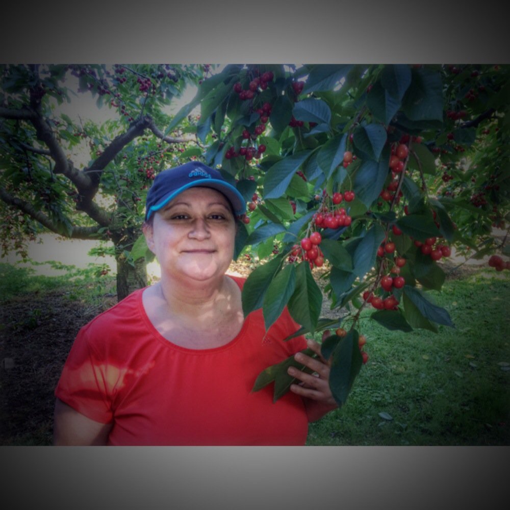 Cherry Avenue Farms - Farmers Market Near Me - Lincoln, Ontario Cherry Avenue Farms - Farmers Market Near Me - Lincoln, Ontario