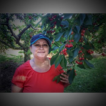 Cherry Avenue Farms - Farmers Market Near Me - Lincoln, Ontario Cherry Avenue Farms - Farmers Market Near Me - Lincoln, Ontario