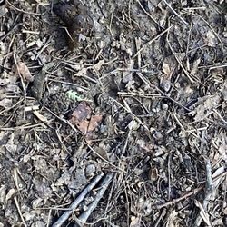 Haverford Reserve Dog Park - Poop 2
