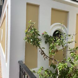 Me Latte Un Pocillo - Colonial facades of old residences in San Germán, Puerto Rico.