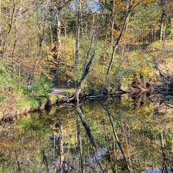 Charles A. Lindbergh State Park