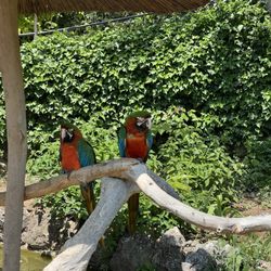 Zoo Sanary Bandol