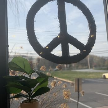 Plant City X - Decor - Vegan Near Me - Warwick, Rhode Island Plant City X - Decor - Vegan Near Me - Warwick, Rhode Island