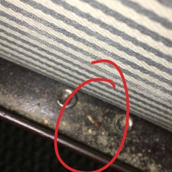The Long Barn Lodge - Dead bedbugs - Hotels Near Me - Long Barn, California The Long Barn Lodge - Dead bedbugs - Hotels Near Me - Long Barn, California