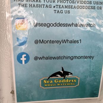 Sea Goddess Whale Watching - Whale Watching Tours Near Me - Moss Landing, California Sea Goddess Whale Watching - Whale Watching Tours Near Me - Moss Landing, California