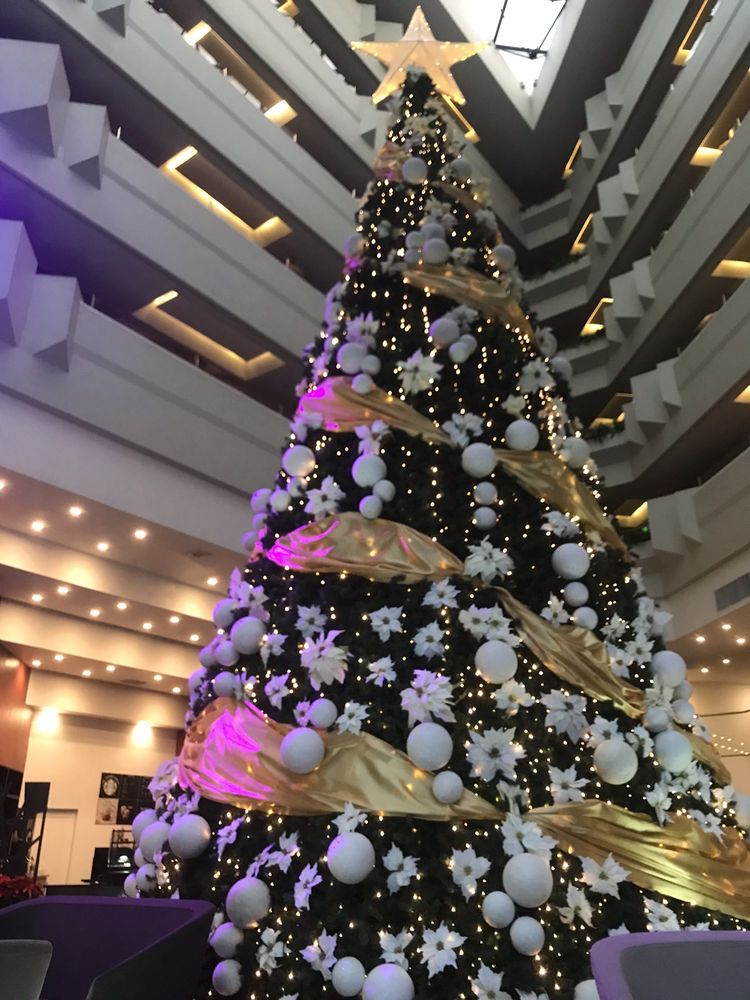 Holiday Inn México Dalí Aeropuerto
