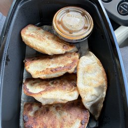 Chicken Dumplings