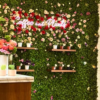 Coffee and Plants - Photo opportunity! - Coffee & Tea Near Me - Pasadena, California