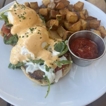 Peck & Plume - BLT Benedict - American Near Me - Cary, North Carolina Peck & Plume - BLT Benedict - American Near Me - Cary, North Carolina
