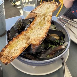 Mussels