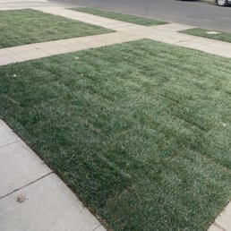 Installed brand new sprinkler system in front yard where there were previously no sprinklers or valves. Installed new sod. Installed brand new sprinkler system in front yard where there were previously no sprinklers or valves. Installed new sod.