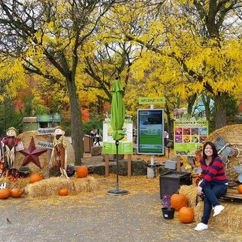 Toronto Zoo - Fall decor - Zoos Near Me - Toronto, Ontario Toronto Zoo - Fall decor - Zoos Near Me - Toronto, Ontario