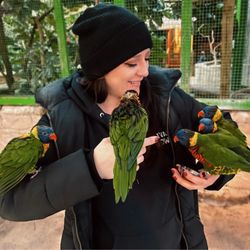 Bird Kingdom