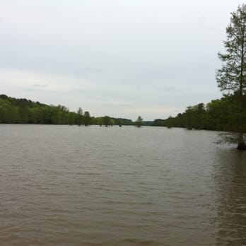 Stumpy Lake Natural Area - Rafting/Kayaking Near Me - Virginia Beach, Virginia
