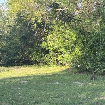 Kickerillo-Mischer Preserve - Parks Near Me - Houston, Texas