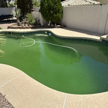 See it clean pools - Green old pool water - Pool Cleaners Near Me See it clean pools - Green old pool water - Pool Cleaners Near Me