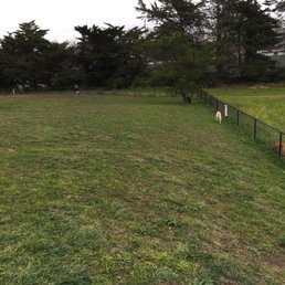 Lots of room! Lots of room!