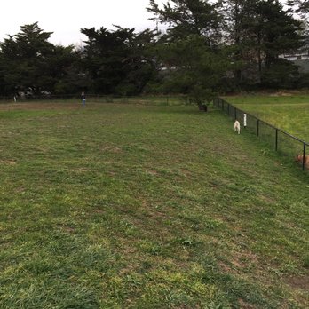Sausalito Dog Park - Lots of room! - Dog Parks Near Me - Sausalito, California Sausalito Dog Park - Lots of room! - Dog Parks Near Me - Sausalito, California