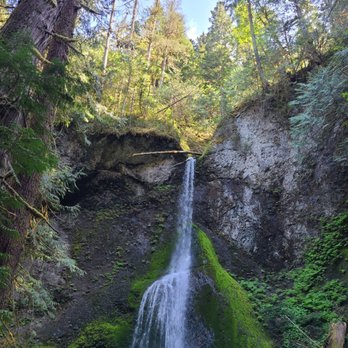 Evergreen Escapes - Tours Near Me - Seattle, Washington