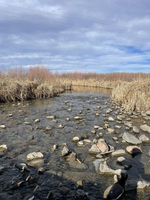 Cherry Creek State Park by null