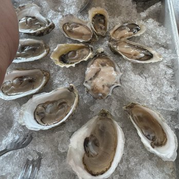 Cart-Driver Lohi - Oysters (east and west coast) - Pizza Near Me - Denver, Colorado