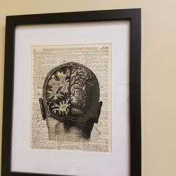 Brain and Spine Neuroscience Institute