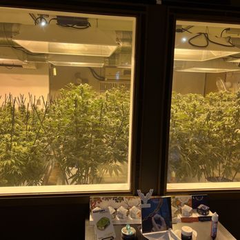 Herban Underground - Cannabis Clinics Near Me - Denver, Colorado Herban Underground - Cannabis Clinics Near Me - Denver, Colorado