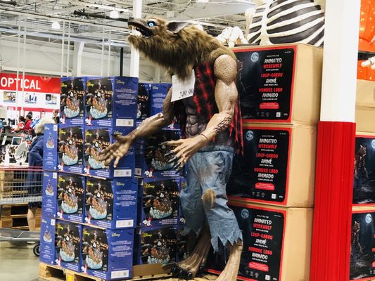 Costco Wholesale by null