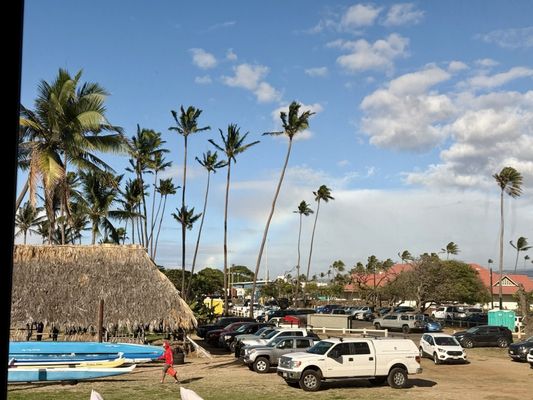Maui Seaside Hotel by null