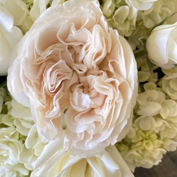 CAROLA'S FLORAL DESIGNS - Updated June 2025 - 205 Photos