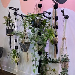 Coven Salon - Gorgeous decor!