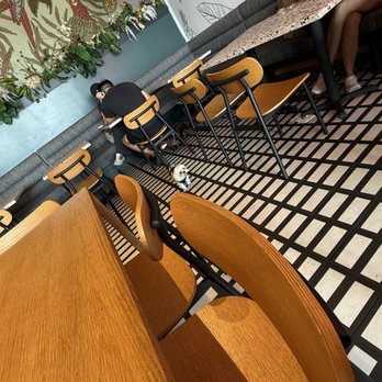 Parakeet Cafe - Newport Beach - Coffee & Tea Near Me - Newport Beach, California Parakeet Cafe - Newport Beach - Coffee & Tea Near Me - Newport Beach, California