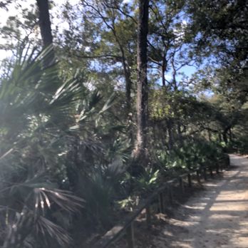 Erna Nixon Park - The trail - Parks Near Me - Melbourne, Florida