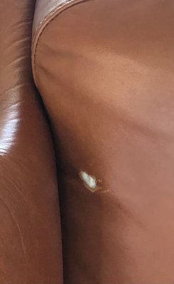 Storage Plus of Livingston