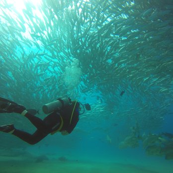 Manta Scuba Diving - Cabo Pulmo - Scuba Diving Near Me - Los Cabos, BCS