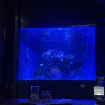 Lechon - Tapas Bars Near Me - Portland, Oregon