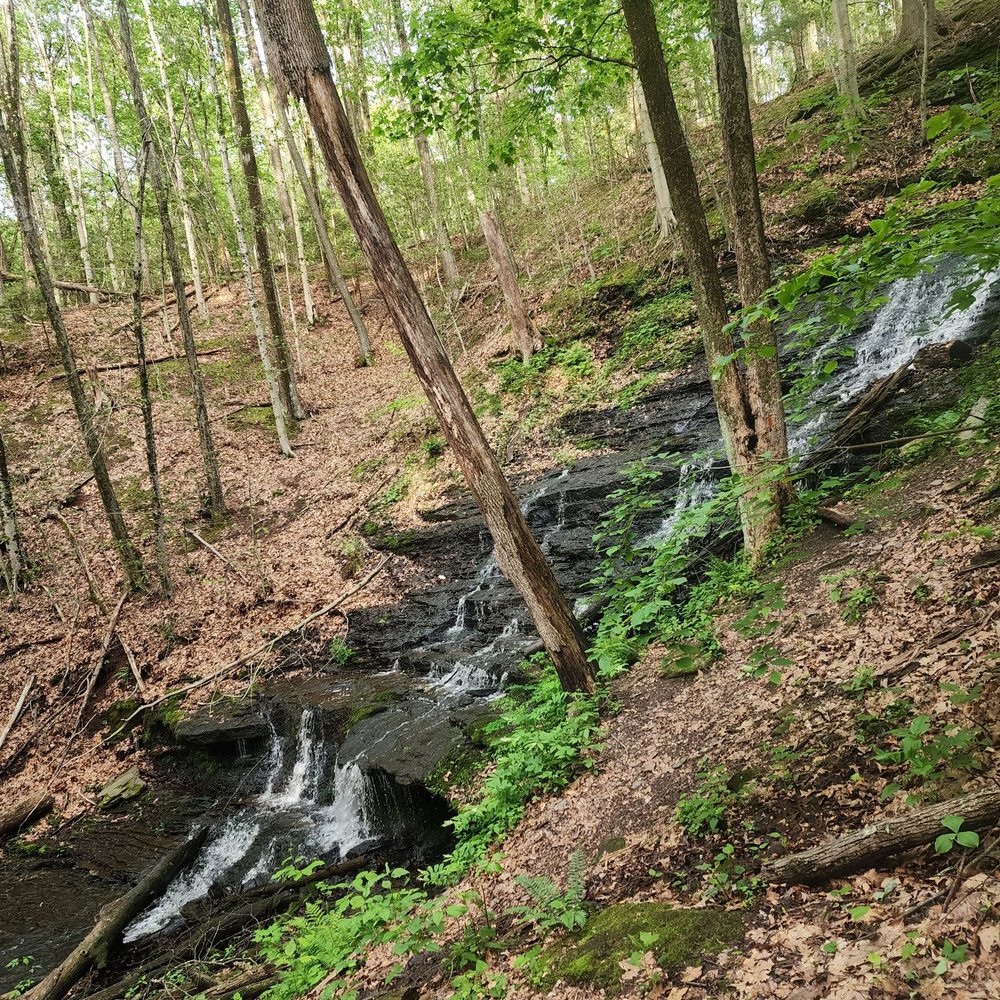 Wadsworth Falls State Park - Hiking Near Me - Middletown, Connecticut