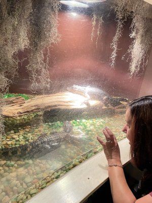 North Carolina Estuarium by null