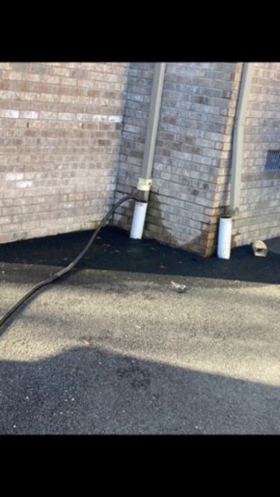 Slide of DT-Clogsman