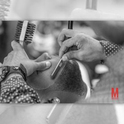Dynasty Cuts - Details