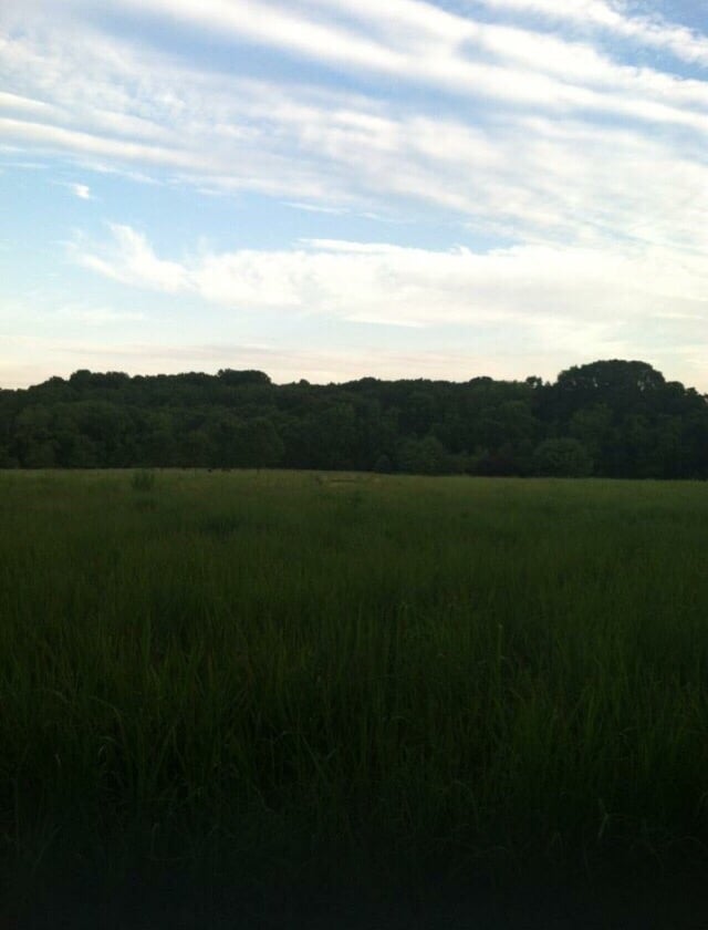 Durand Park Image
