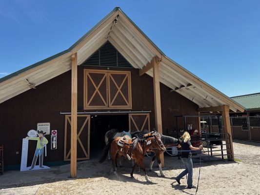 Westgate River Ranch Resort & Rodeo by null
