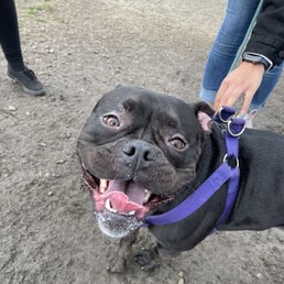 Olive said the park is a 10/10