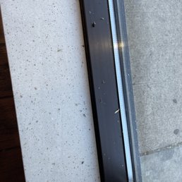 Zoom in to see all the insects sitting in the window Zoom in to see all the insects sitting in the window