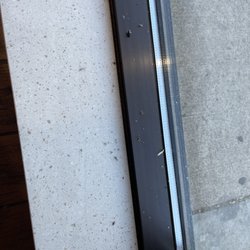 Domino's Pizza - Zoom in to see all the insects sitting in the window
