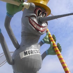 Praça das Muriçocas