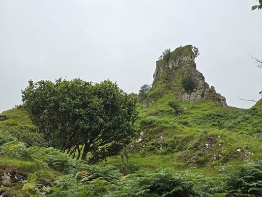 The Fairy Glen by null